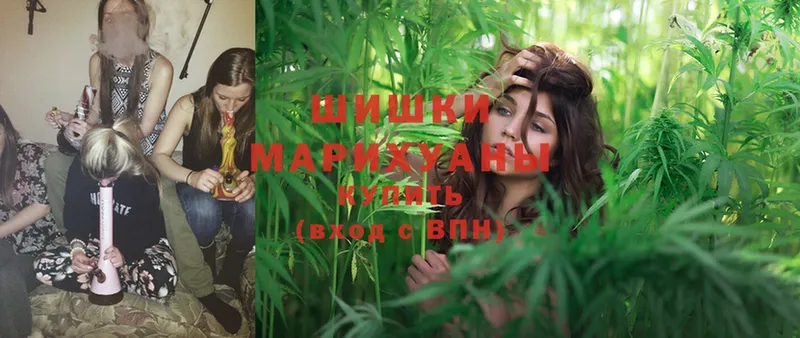 купить закладку  Туймазы  Бошки Шишки SATIVA & INDICA 